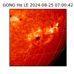 gong - 2024-08-25T07:00:42