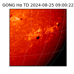 gong - 2024-08-25T09:00:22