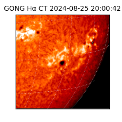 gong - 2024-08-25T20:00:42