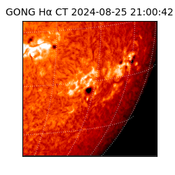 gong - 2024-08-25T21:00:42