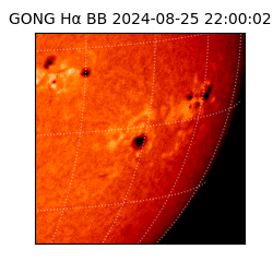 gong - 2024-08-25T22:00:02