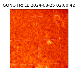 gong - 2024-08-25T02:00:42