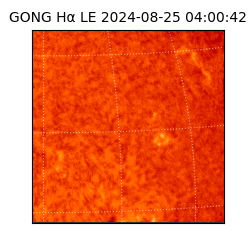 gong - 2024-08-25T04:00:42