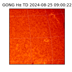 gong - 2024-08-25T09:00:22