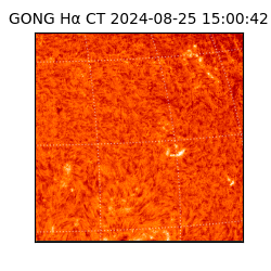 gong - 2024-08-25T15:00:42