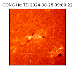 gong - 2024-08-25T09:00:22
