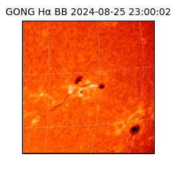 gong - 2024-08-25T23:00:02