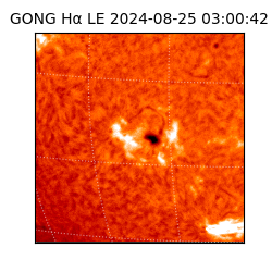 gong - 2024-08-25T03:00:42