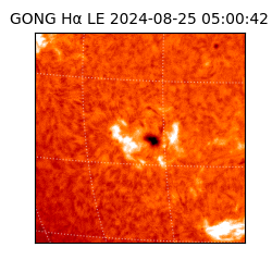gong - 2024-08-25T05:00:42
