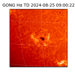 gong - 2024-08-25T09:00:22