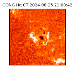 gong - 2024-08-25T21:00:42