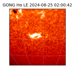 gong - 2024-08-25T02:00:42