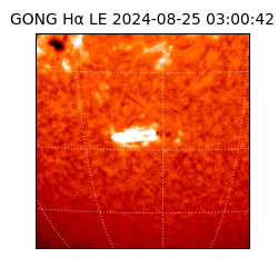 gong - 2024-08-25T03:00:42