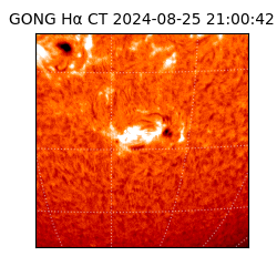 gong - 2024-08-25T21:00:42