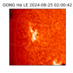 gong - 2024-08-25T02:00:42