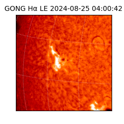 gong - 2024-08-25T04:00:42
