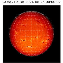 gong - 2024-08-25T00:00:02