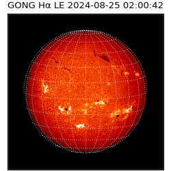 gong - 2024-08-25T02:00:42