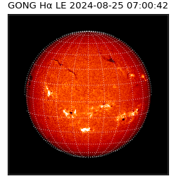 gong - 2024-08-25T07:00:42