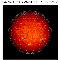 gong - 2024-08-25T08:00:22