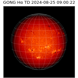 gong - 2024-08-25T09:00:22