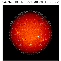 gong - 2024-08-25T10:00:22