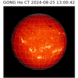 gong - 2024-08-25T13:00:42