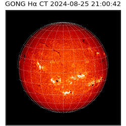 gong - 2024-08-25T21:00:42