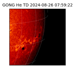gong - 2024-08-26T07:59:22