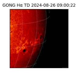 gong - 2024-08-26T09:00:22