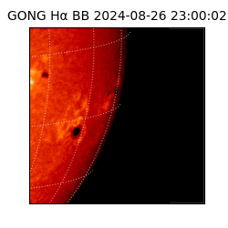 gong - 2024-08-26T23:00:02