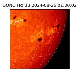 gong - 2024-08-26T01:00:02