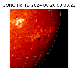 gong - 2024-08-26T09:00:22