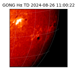 gong - 2024-08-26T11:00:22