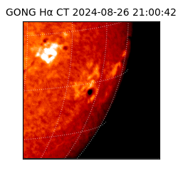 gong - 2024-08-26T21:00:42
