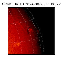gong - 2024-08-26T11:00:22