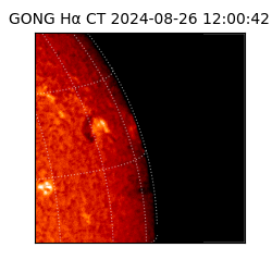 gong - 2024-08-26T12:00:42