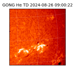 gong - 2024-08-26T09:00:22