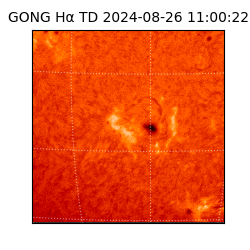 gong - 2024-08-26T11:00:22