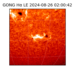 gong - 2024-08-26T02:00:42