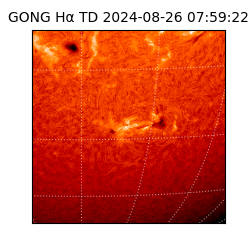 gong - 2024-08-26T07:59:22