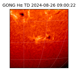 gong - 2024-08-26T09:00:22