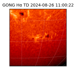 gong - 2024-08-26T11:00:22