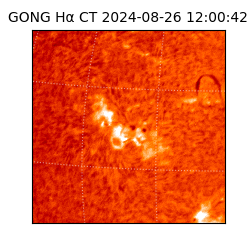 gong - 2024-08-26T12:00:42