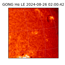 gong - 2024-08-26T02:00:42