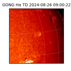 gong - 2024-08-26T09:00:22