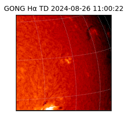 gong - 2024-08-26T11:00:22