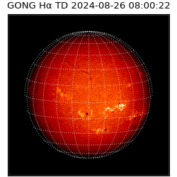gong - 2024-08-26T08:00:22