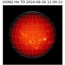 gong - 2024-08-26T11:00:22