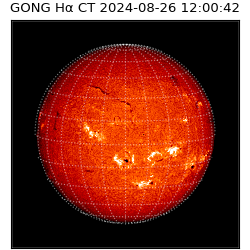 gong - 2024-08-26T12:00:42